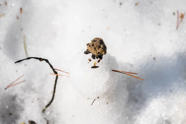 Сліпий Маленький Сніговик Снігу Різдво — стокове фото