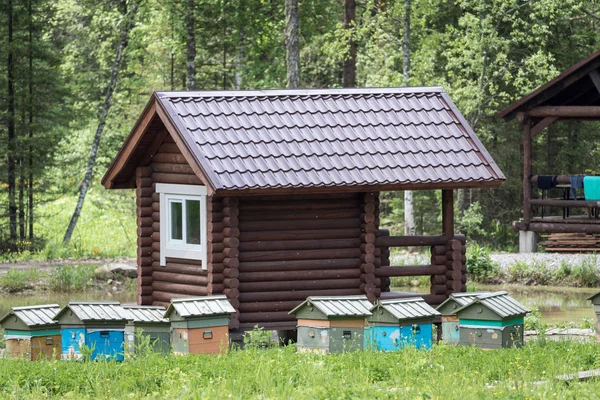 Casas de madeira para abelhas reprodutoras em apiário em montanhas. — Fotografia de Stock