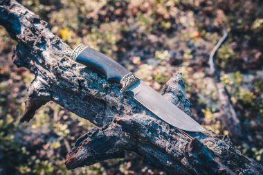 Bir bıçak, seçici odaklanma