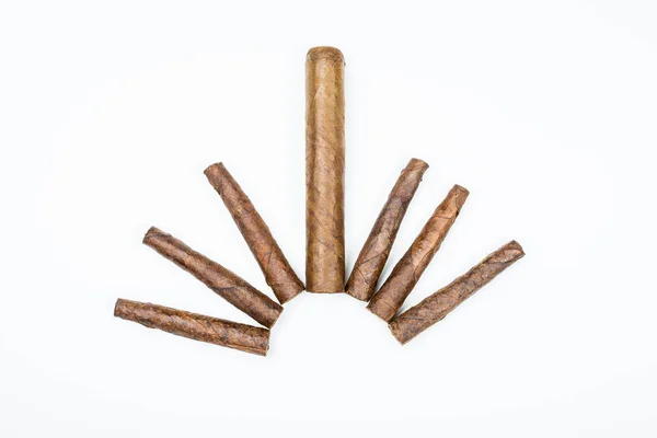 Big and small cigars twisted from sheets of tobacco on white background. — Stock Photo, Image