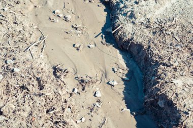 Küçük dere, büyük gölden kumda hendek yapıyor.