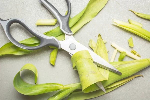 Tijeras Grandes Con Tallos Cortados Hojas Flores — Foto de Stock