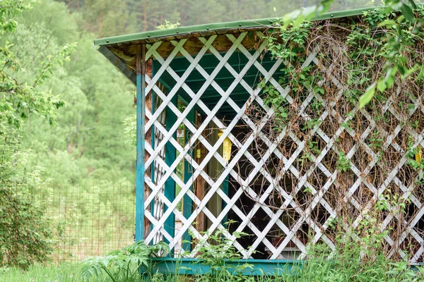 Jardim Gazebo Com Grelha Madeira Para Relaxar Jardim — Fotografia de Stock