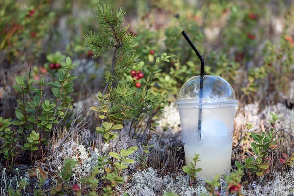 Plastic glass with cocktail and straw in pine forest. — Stock Photo, Image