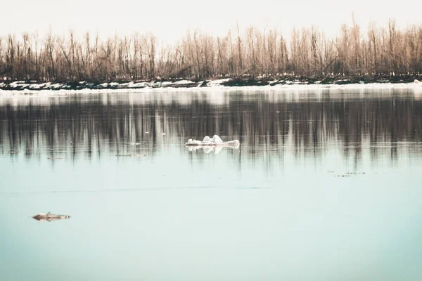 이른 봄은 얼음 조각이 떨어져 흐르는 아름다운 강 위를 떠다닌다. — 스톡 사진