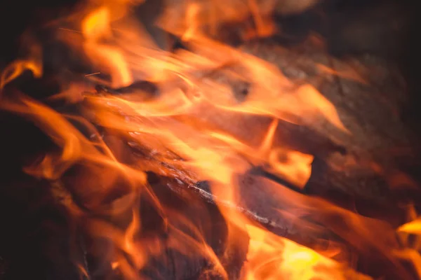 Palenie drewna opałowego jasnym płomieniem w żelaznym kozieradce po podpaleniu kebabów mięsnych. — Zdjęcie stockowe