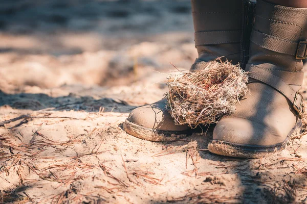 Een leeg nest gemaakt door vogels van gras, takken en dennennaalden op vrouwelijke poten in laarzen. — Stockfoto