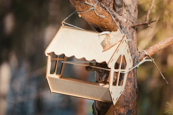 Alimentatore in legno per uccelli e scoiattoli appeso all'albero nel parco forestale in primavera . — Foto Stock