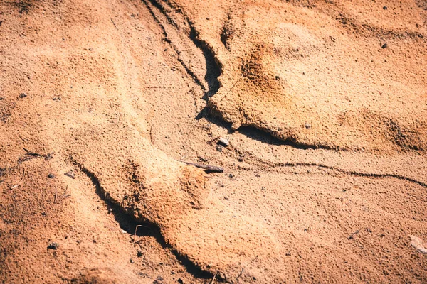 Dried trail from the stream in the sand. — Stock Photo, Image