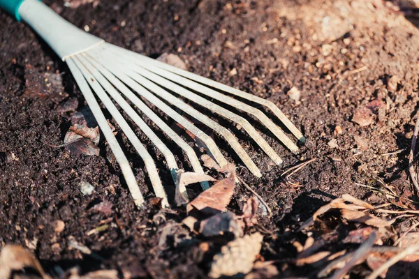 Pequeno ancinho para limpar grama e folhas no chão na primavera . — Fotografia de Stock