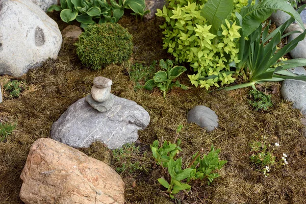 Lined piramidy kamieni rzecznych w ogrodzie. — Zdjęcie stockowe