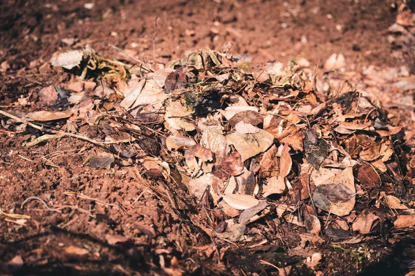 Hojas secas para limpiar el área en el fresco día de primavera . — Foto de Stock
