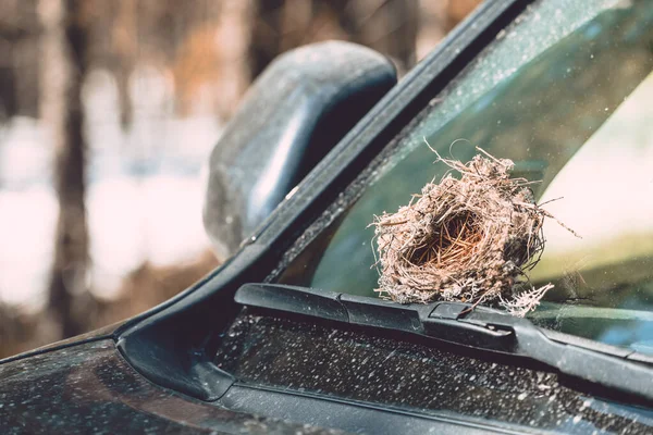 Nid vide réalisé par des oiseaux à partir d'herbe, de branches et d'aiguilles de pin sur l'essuie-glace de la voiture . — Photo