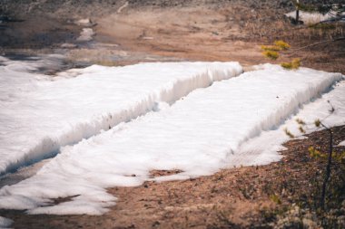Ormanda beyaz kar üzerinde bir SUV 'un tekerleklerinden çıkan kirli bahar izleri.