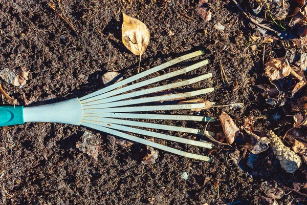 Pequeno Ancinho Para Limpar Grama Folhas Chão Primavera — Fotografia de Stock