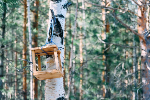 Ξύλινος Τροφοδότης Για Πουλιά Και Σκίουρους Κρέμεται Δέντρο Στο Δασικό — Φωτογραφία Αρχείου
