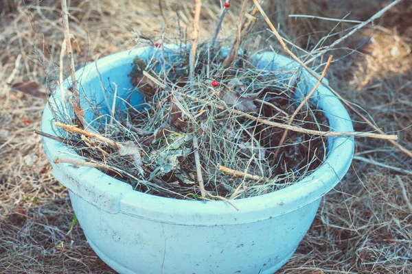 Собирают Сухую Траву Листья Территории Сада Складывают Пластиковый Бассейн — стоковое фото