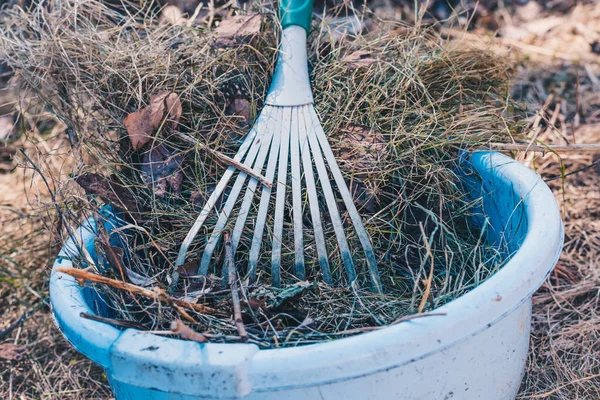 Small Rake Cleaning Grass Leaves Ground Spring Time — Stock Photo, Image