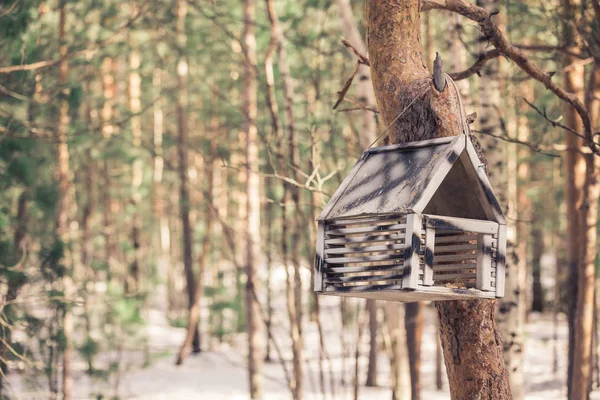 Alimentatore Legno Uccelli Scoiattoli Appeso All Albero Nel Parco Forestale — Foto Stock