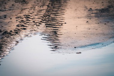 Büyük kamyonun tekerleklerindeki derin izler orman bölgesindeki kumlara su birikintisi bırakıyor.