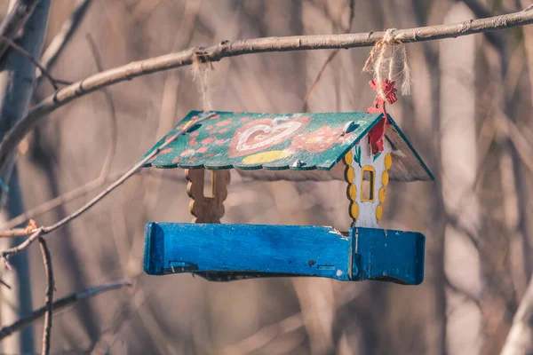 春の森公園の木には鳥やリスのための木製のフィーダーがかかっています — ストック写真