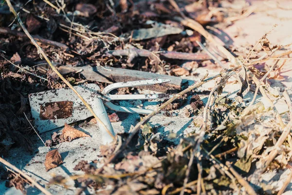 Невеликий Граблі Очищення Трави Листя Землі Навесні — стокове фото