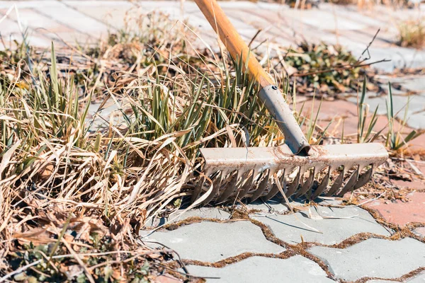 Longo Ancinho Para Limpar Grama Folhas Chão Primavera — Fotografia de Stock