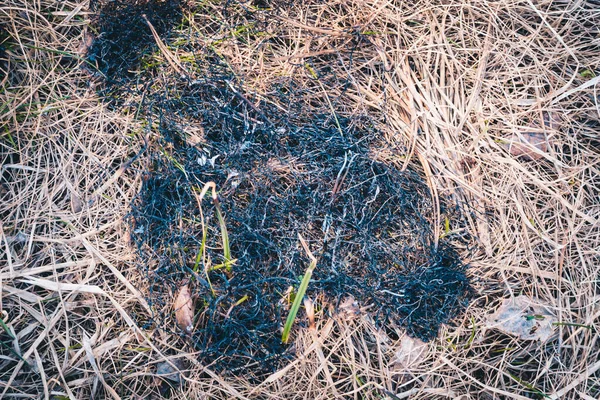 Спалена Суха Трава Території Весняний День — стокове фото