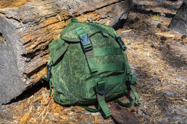 Yaz kozalaklı ormanlarda tahta kütüğe yaslanmış yürüyüş için yeşil sırt çantası.