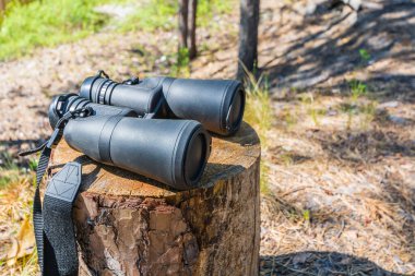 Orman dürbünü ve kapalı lensleri ormandaki kütüğün üzerinde.