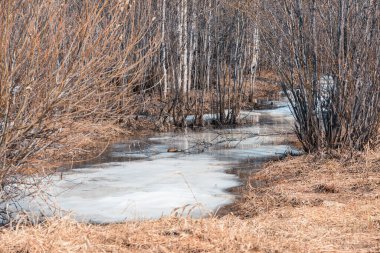 Buzun sürüklenmesinden sonra ormandaki ilkbahar nehri