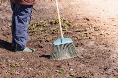Uzun süpürgesi olan yaşlı bir kadın baharda yerdeki yeşillikleri ve çimenleri temizliyor.