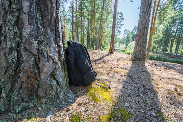 Sac Dos Pour Une Randonnée Couleur Noire Dresse Sur Rive — Photo