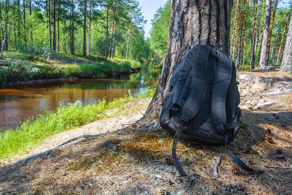 Sporty Black Backpack Resting Lies Bank River Tree Forest Summer — Stock Photo, Image