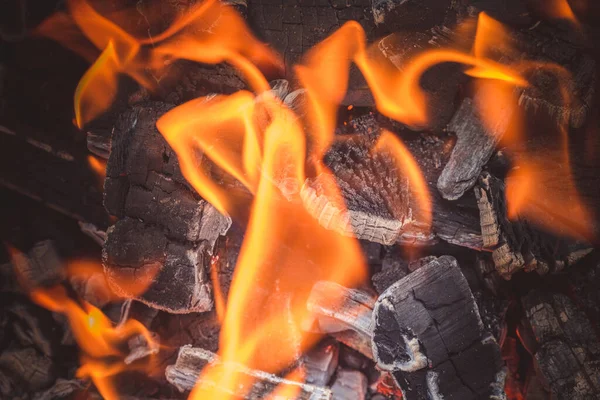 Płonące Płomienie Węgla Gorącym Koksowniku Podpaleniu Smażenia Kebabów Mięsnych — Zdjęcie stockowe