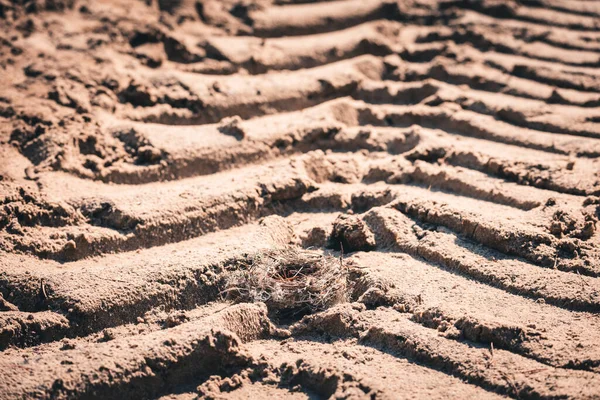 Huellas Profundas Las Ruedas Camión Grande Arena Zona Forestal — Foto de Stock