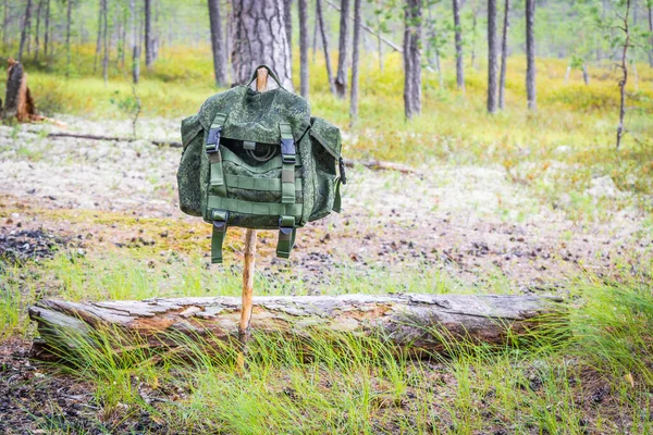 Green Backpack Hiking Hanging Wooden Stick Summer Woods Front Lying — Stock Photo, Image