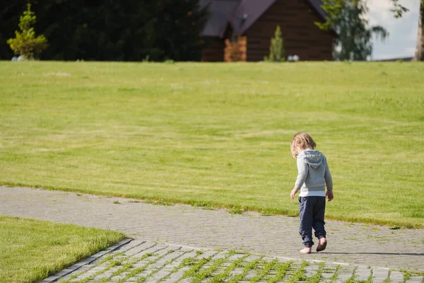 緑の畑の路地を歩いている小さな子供 — ストック写真