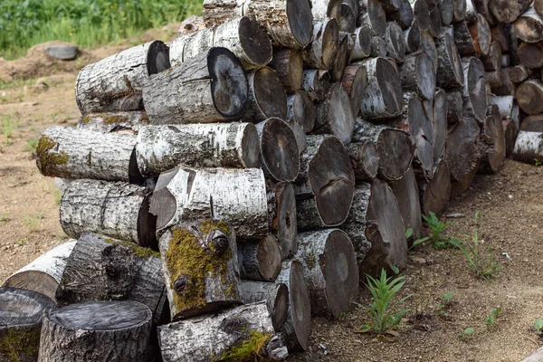 Chipped Birch Firewood Kindling Stove House — Stock Photo, Image