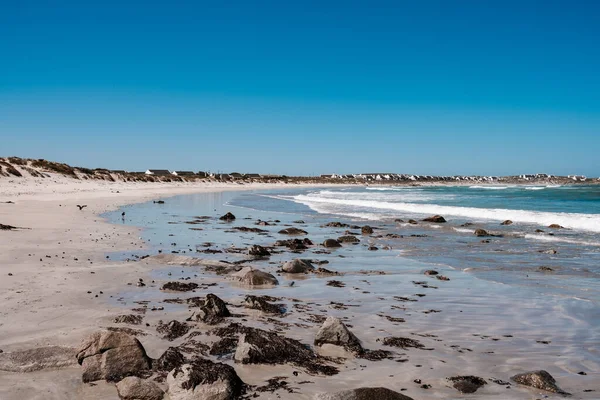 Naturalna Długa Plaża Afryce Falami Kamieniami — Zdjęcie stockowe