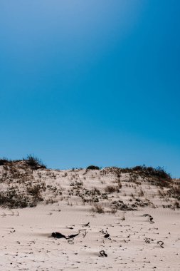 Açık mavi gökyüzü olan beyaz kumsal