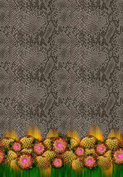 Indian Kurti Digital Background Flower Front Side — 스톡 사진