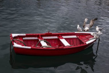 Bask balıkçı tekneleri. Barco De Pesca Basco.