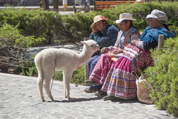 Las mujeres quechua se alimentan de alpaca en la plaza pública de Yankey, Perú . — Foto de Stock