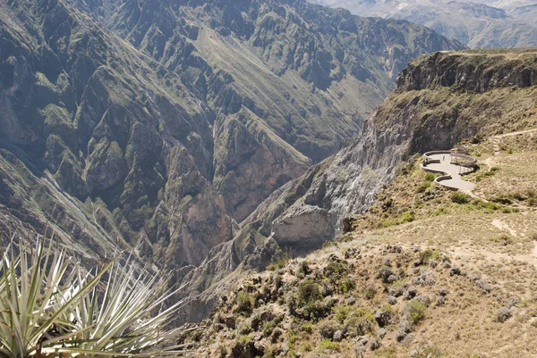 Weergave van de Colca canyon, Peru. — Stockfoto