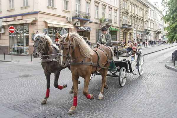 Tourists ride on a rented horse carriage in Lviv, Ukraine. — Stock Photo, Image