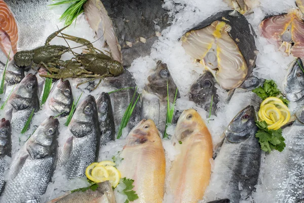 Βιτρινα Διατηρημένα Απλή Ψύξη Ψαριών Στον Πάγο — Φωτογραφία Αρχείου