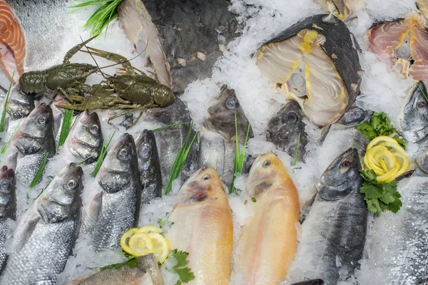 Escaparate Con Pescado Frío Sobre Hielo —  Fotos de Stock