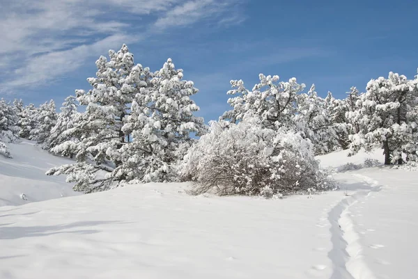 クリミア山脈 冬時間の小道 — ストック写真