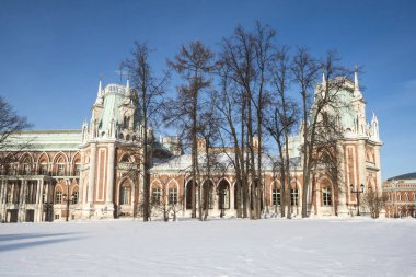 Tsaritsyno Sarayı, Moskova, Rusya.